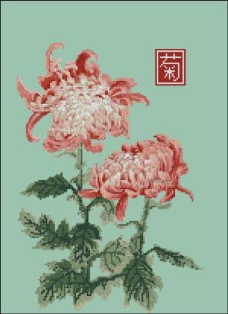 (image for) Japanese Chrysanthemum Double Red White